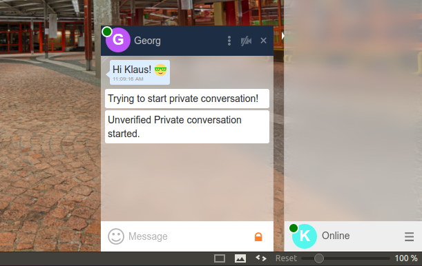 Screenshot chat window